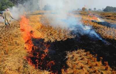 पंजाब में पराली जलाने के मामलों पर कार्रवाई, अब तक 52 घटनाएं रिपोर्ट, 42 खेतों का निरीक्षण