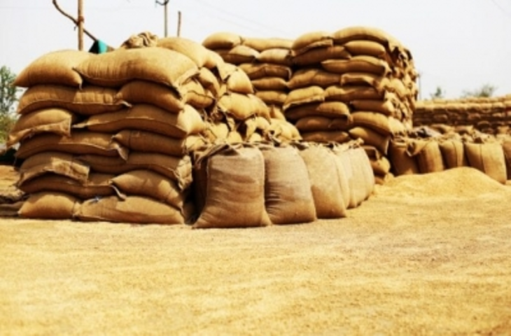 भारत ने इराक, सऊदी अरब, वियतनाम, ब्रिटेन को कृषि उत्पादों के निर्यात में बड़ा उछाल दर्ज किया