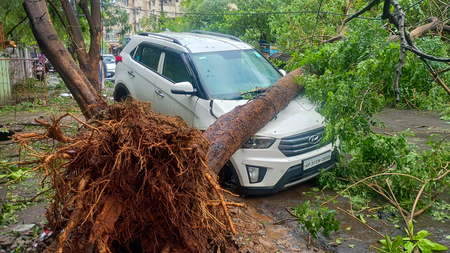 चक्रवात 'अर्नब' से आंध्र प्रदेश में सात मौतें, 4,600 करोड़ रुपए के नुकसान का अनुमान : सीएम नायडू