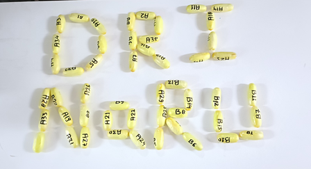 नागपुर में डीआरआई की बड़ी कार्रवाई, 853 ग्राम कोकीन जब्त, एक महिला भी गिरफ्तार