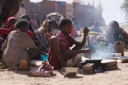 सूडान में डेंगू, एमपॉक्स और हैजा का खतरा बढ़ा, हालात पर न‍ियंत्रण के प्रयास में जुटीं राहत एजेंसियां