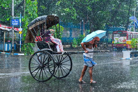 दक्षिण बंगाल और कोलकाता में अगले पांच दिनों तक होगी बारिश, मौसम विभाग ने जारी किया अलर्ट