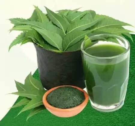 लिवर को डिटॉक्स कर मुहांसो को दूर करता है नीम