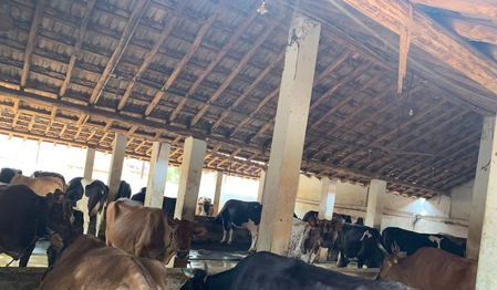तमिलनाडु: कटौती के कारण दूध की कीमतें बढ़ने के बावजूद तिरुचि के किसानों को नहीं मिली राहत