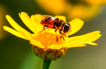 कम ऑक्सीजन में छिपा है ‘नए जीवन’ का रहस्य: रिसर्च ने खोला बड़ा राज