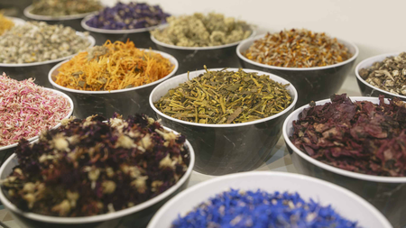 जैविक उत्पादों के वैश्विक व्यापार मेले बायोफैच 2026 में भारत ‘कंट्री ऑफ द इयर’ नामित