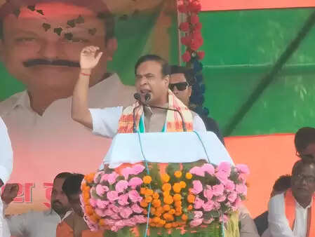 हिंदुओं को बांटने का काम करने वाले हमारे दुश्मन: सीएम हिमंत बिस्वा सरमा