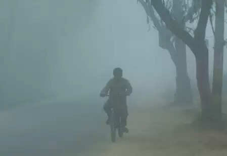 बिहार में ठंड से राहत मिलने की उम्मीद नहीं, कोहरे का भी दिखा असर