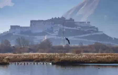 ल्हालू आर्द्रभूमि को 'विश्व की सबसे अधिक ऊंचाई पर स्थित शहरी प्राकृतिक आर्द्रभूमि' का खिताब