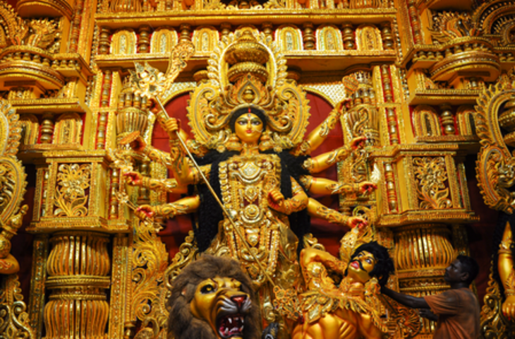 इन नौ आयुर्वेदिक औषधियों के पौधों में बसती हैं नवदुर्गा, सेहत के लिए है वरदान