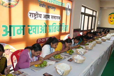 बिहार: बीएयू का राष्ट्रीय आम समागम संपन्न, 1,100 से अधिक किस्मों की प्रदर्शनी