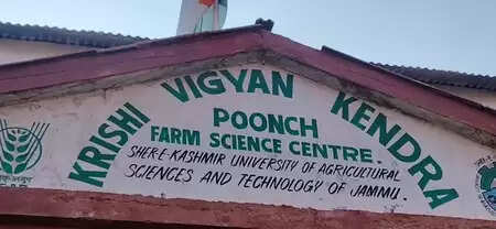 जम्‍मू-कश्‍मीर : पुंछ में ऑर्गेनिक खेती के लिए ट्रेनिंग प्रोग्राम, किसान बोले- जैविक खेती से उत्‍पादन में हो रही बढ़ोतरी