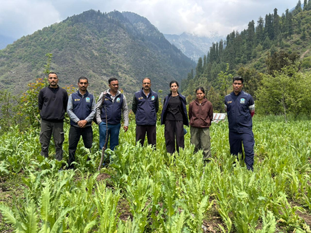 हिमाचल पुलिस का नशा तस्करों पर बड़ा प्रहार, हिरासत में 19 बड़े तस्कर