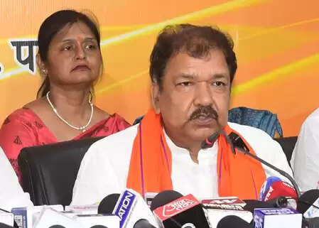 ઉપરાષ્ટ્રપતિની ચૂંટણીમાં રાષ્ટ્રીય હિતની પ્રાધાન્યતા: દિલીપ જેસ્વાલ