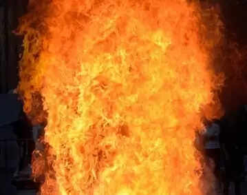 इंदौर: केमिकल फैक्ट्री में आग लगने से दो महिलाओं की मौत, एक घायल