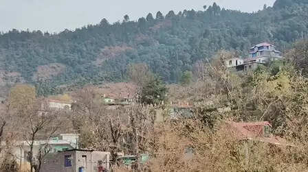 पुंछ जिले के भारत-पाकिस्तान नियंत्रण रेखा स्थित जलास और सलोत्री के ग्रामीणों में खुशी की लहर