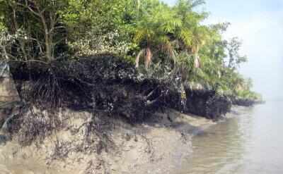 बांग्लादेश: विवादित वन परियोजना के खिलाफ आदिवासी और कैथोलिक नेताओं ने दी आंदोलन की चेतावनी