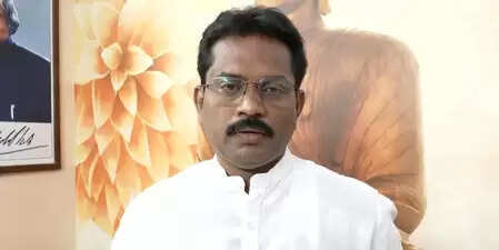 भारत में अल्पसंख्यक समुदाय के लोग सुरक्षित: सैयद पाशा