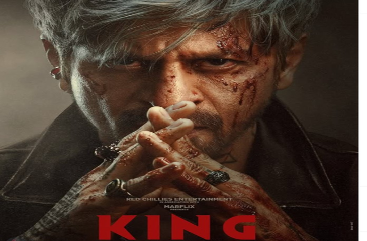 संभावनाओं का साल 2026 : इस साल रिलीज को तैयार फिल्मों की लिस्ट काफी लंबी, सलमान-शाहरुख दिखाएंगे जलवा