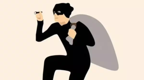 बांग्लादेश: सोना-चांदी नहीं, '330 किलो बाल चोरी' ने उड़ाई पुलिस की नींद
