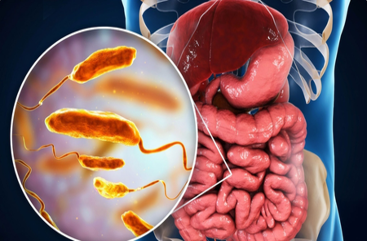 क्यों फिट बॉडी और माइंड के लिए जरूरी है 'हिट' माइक्रोबायोम?