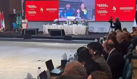 अश्व वर्ष के लिए सीएमजी वसंत महोत्सव गाला की थीम और लोगो जारी