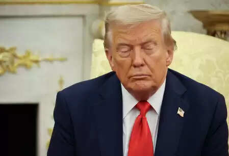 आईसीई अधिकारी ने अमेरिकी महिला को गोली मारकर मौत के घाट उतारा, ट्रंप बोले- 'सेल्फ डिफेंस' है