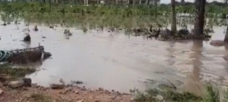 राजस्थान: एनजीटी ने भीलवाड़ा में जल निकायों से अतिक्रमण हटाने का आदेश दिया