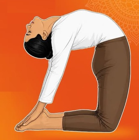 दिन भर छाई रहती है सुस्ती, छोटे-छोटे काम के बाद थक जाता है शरीर? उष्ट्रासन से दूर होगी समस्याएं