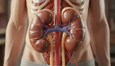 किडनी को बड़ी बीमारियों से बचा सकती हैं रोजाना की ये छोटी-छोटी आदतें