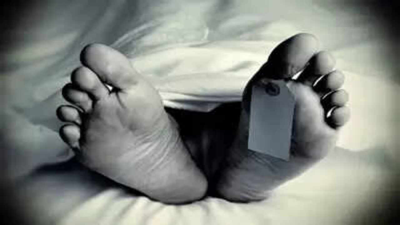 ग्रेटर नोएडा: तेज रफ्तार स्कॉर्पियो ने तीन पैदल राहगीरों को कुचला, रोपाई करने आए तीन युवकों की दर्दनाक मौत