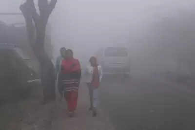 तेलंगाना के कई जिलों में शीतलहर की स्थिति, संगारेड्डी में सबसे कम दर्ज किया गया तापमान