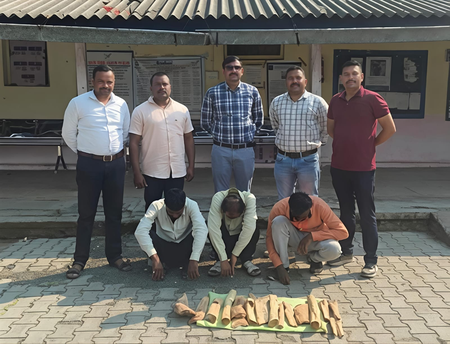 महाराष्ट्र: वाशिम जिले के रिसोड में 9 किलो चंदन के साथ 3 चंदन चोर गिरफ्तार