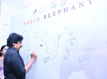 आंध्र प्रदेश में 'कुम्की' हाथियों की वजह से लोगों की मौत के मामले घटे: पवन कल्याण