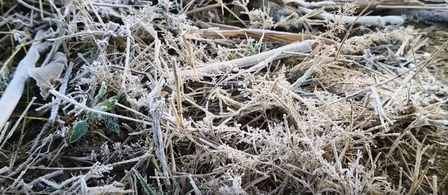 राजस्थान में शीत लहर तेज हुई, लूणकरणसर में तापमान गिरकर 0.3 डिग्री सेल्सियस तक पहुंचा