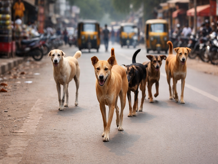 तेलंगाना: आवारा कुत्तों के हमले में तीन साल की मासूम बच्ची की दर्दनाक मौत