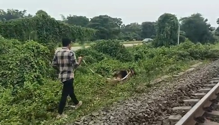 पश्चिम बंगाल: रेलवे लाइन और नेशनल हाईवे के बीच शव मिलने से हड़कंप, पुलिस जांच शुरू