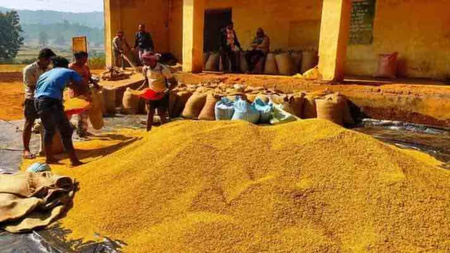 झारखंड में धान खरीद लक्ष्य से पीछे, दो दिन में 14 लाख क्विंटल की चुनौती