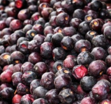 पाचन को मजबूत कर दिल की सेहत सुधारता है फालसा, गर्मियों में वरदान से कम नहीं