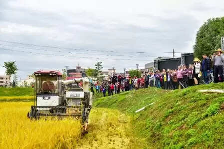 खेती के ठोस कचरे को कीमती संसाधनों में बदलने पर ध्यान देगा चीन
