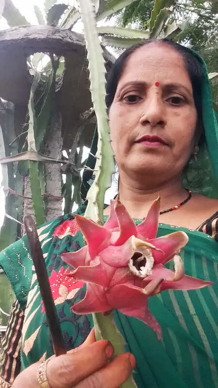 इटावा की मंत्रवती शाक्य ने गांव में रच दी ‘लखपति दीदी’ की सफलता गाथा