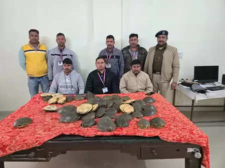 बिहार: गया रेलवे स्टेशन पर खड़ी दून एक्सप्रेस से 48 कछुआ बरामद