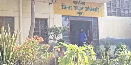 हरियाणा: नूंह के खेतों में उगा नवाचार, 20 वैरायटी वाले मशरूम प्लांट ने बदली खेती की तस्वीर