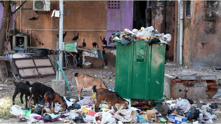 तमिलनाडु के 12 नगर निगमों में कचरा प्रबंधन के लिए नए पीपीपी मॉडल की तैयारी, कर्मचारियों ने जताई चिंता