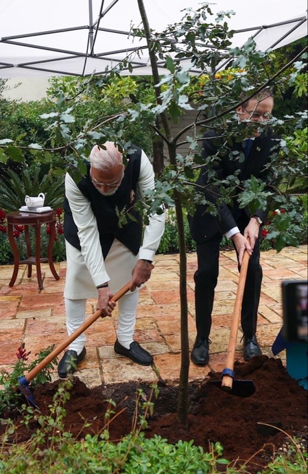 प्रधानमंत्री मोदी ने 'याद वाशेम' में होलोकॉस्ट पीड़ितों को दी श्रद्धांजलि, राष्ट्रपति हर्जोग संग लगाया 'एक पेड़ मां के नाम'