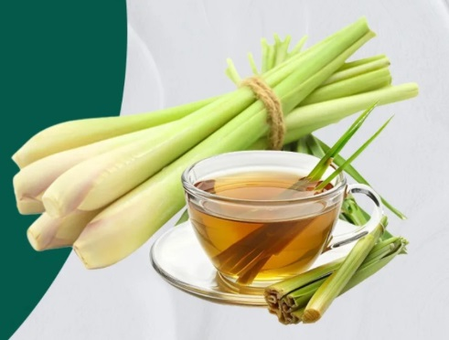 स्वादिष्ट जड़ी-बूटी : त्वचा की सफाई से लेकर इम्युनिटी बूस्ट तक, 'लेमन ग्रास' सेवन के कई लाभ