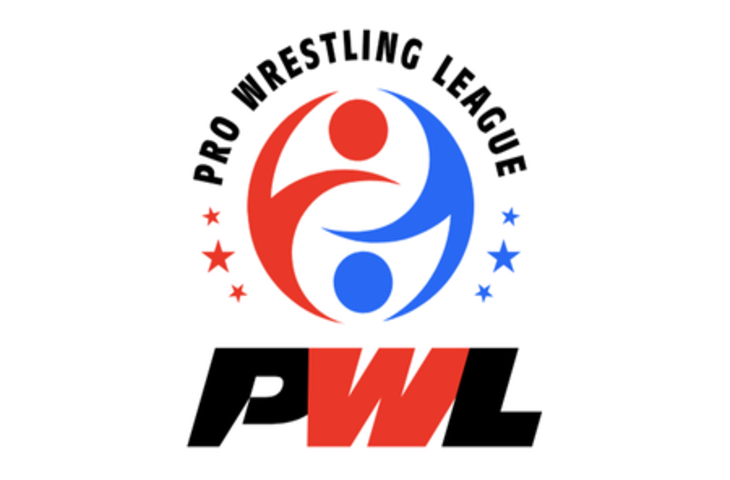 फैंस के लिए लॉन्च होगी प्रो रेसलिंग लीग-आधारित गेमिंग ऐप: पीडब्ल्यूएल चेयरमैन दयान फारूकी