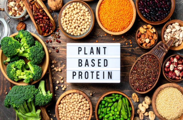 मांसाहारी प्रोटीन से बेहतर है प्लांट बेस्ड प्रोटीन, जानें सेवन का तरीका