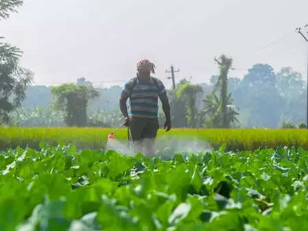 उर्वरकों और कृषि उत्पादों पर जीएसटी में कटौती से खेती की लागत में कमी आई : केंद्र
