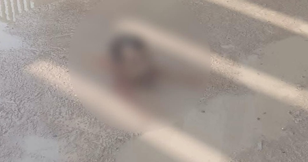 अररिया घटना पर तेजस्वी यादव ने नीतीश कुमार पर साधा निशाना, कहा- 'कानून-व्यवस्था पूरी तरह चरमरा गई है'